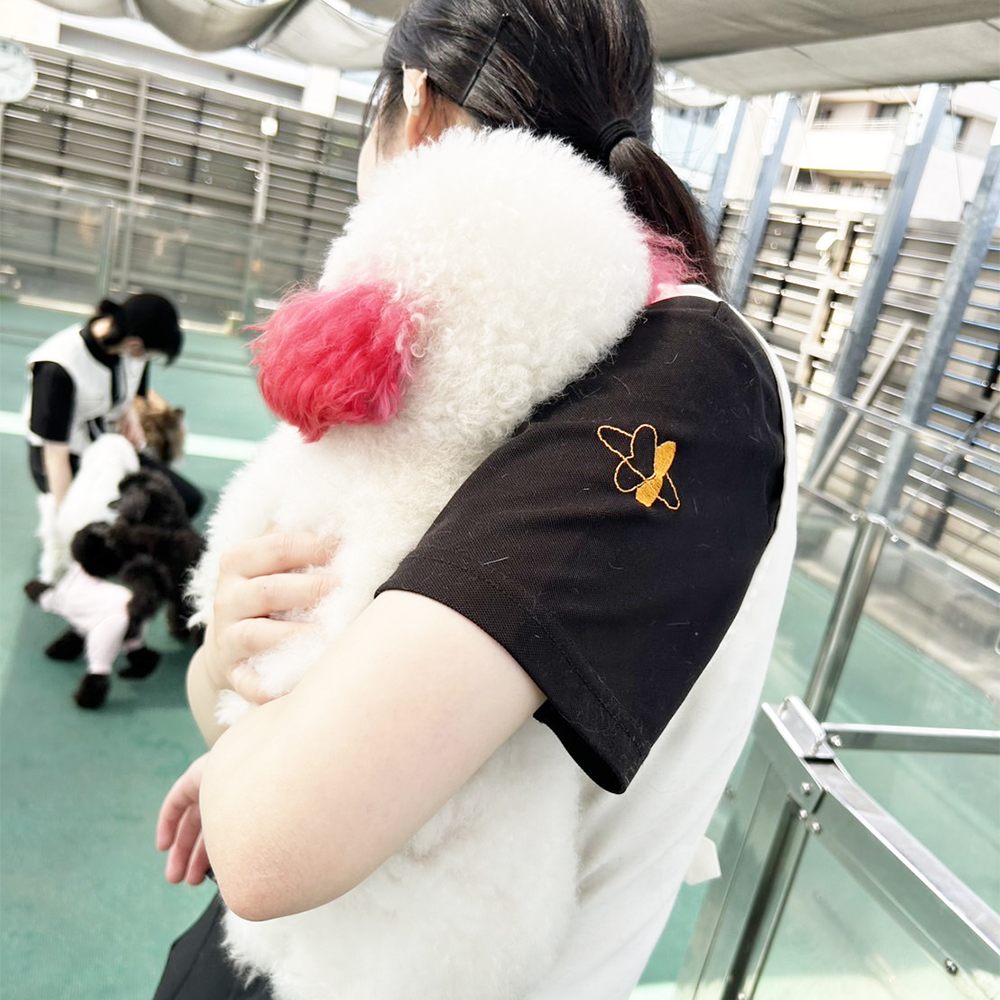 生徒が撮影してくれたモデル犬☆②